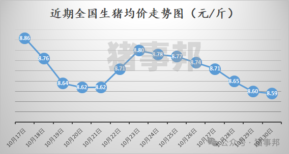 10月30日猪价汇总（北方稍强，南方稍弱！）